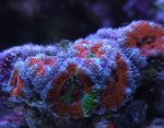 20250425_165706.jpg