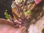 IMG_0634.jpeg