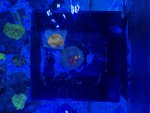 IMG_4533.jpeg