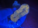 IMG_1559.jpeg