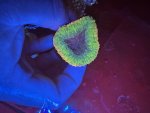 IMG_1556.jpeg