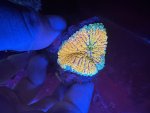 IMG_1544.jpeg