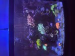 IMG_7809.jpeg