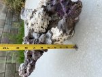 IMG_0634.jpeg