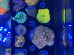 IMG_9236.jpeg