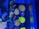 IMG_9237.jpeg