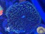 IMG_9272.jpeg