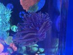 IMG_9267.jpeg