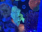 IMG_9268.jpeg