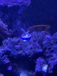 thumbnail_IMG_1882.jpg