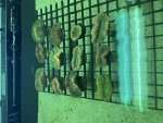 IMG_8856.jpeg