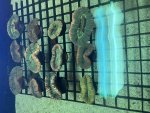 IMG_8871.jpeg
