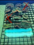 IMG_8877.jpeg