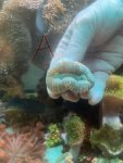 IMG_8926.jpeg
