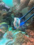 IMG_8932.jpeg