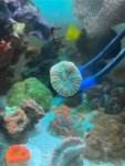 IMG_8933.jpeg