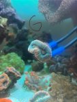 IMG_8934.jpeg