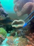 IMG_8935.jpeg