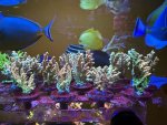 IMG_5447.jpeg