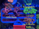 IMG_5455.jpeg
