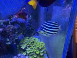 IMG_5457.jpeg