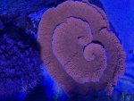 IMG_7535.jpeg