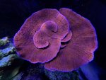 IMG_4377.jpeg