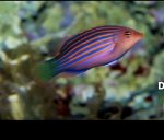IMG_1646.jpeg