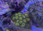 IMG_1652.jpeg