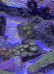 IMG_1653.jpeg
