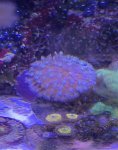 IMG_1654.jpeg