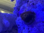 IMG_8645.jpeg