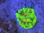 IMG_8820.jpeg