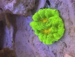 IMG_8817.jpeg