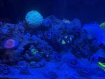IMG_6687.jpeg