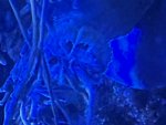 IMG_6812.jpeg