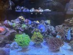 IMG_7053.jpeg