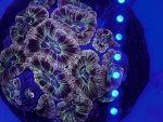 IMG_1954.jpeg