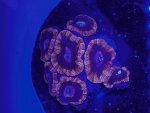 IMG_1953.jpeg
