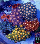 IMG_1914.jpeg