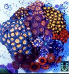 IMG_1913.jpeg