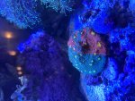 IMG_0573.jpeg