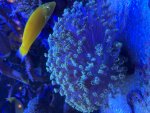 IMG_0574.jpeg