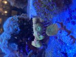 IMG_0619.jpeg