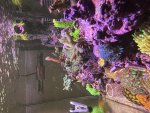 IMG_4189.jpeg
