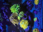 IMG_3726.jpeg