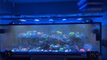 IMG_3400.jpeg