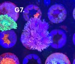 20250708_102844 (1) (2) (1).jpg