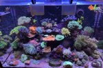 IMG_0333.jpeg