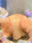 IMG_3875.jpeg